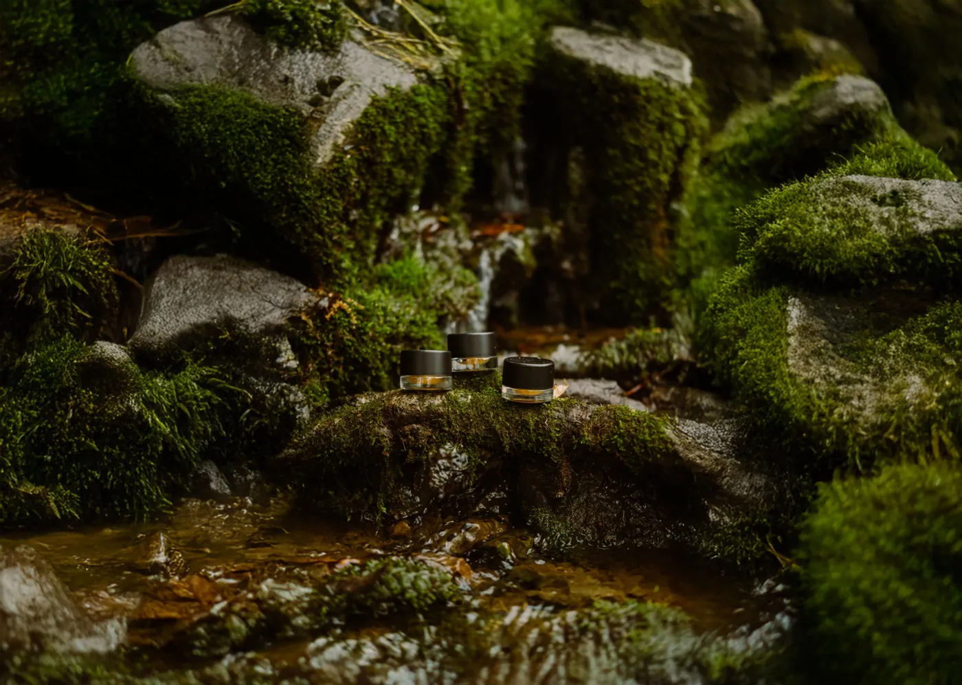Three Micro Greenz concentrate jars on a mossy rock by a creek